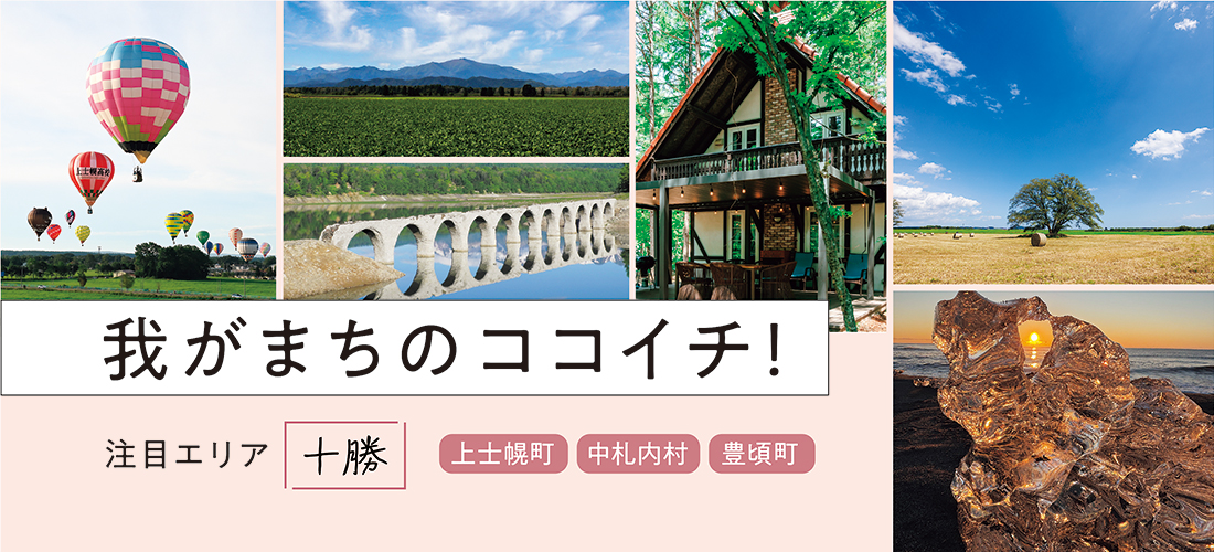 我がまちのココイチ!注目エリア十勝